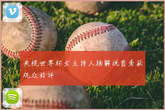 央视世界杯女主持人杨解说首秀获观众好评