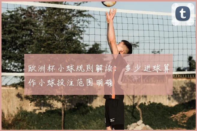 欧洲杯小球规则解读：多少进球算作小球投注范围明确