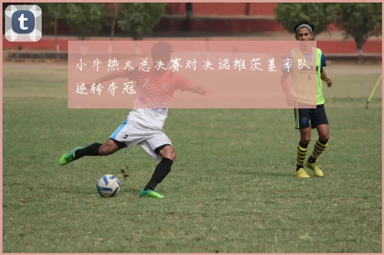 小牛热火总决赛对决诺维茨基率队逆转夺冠