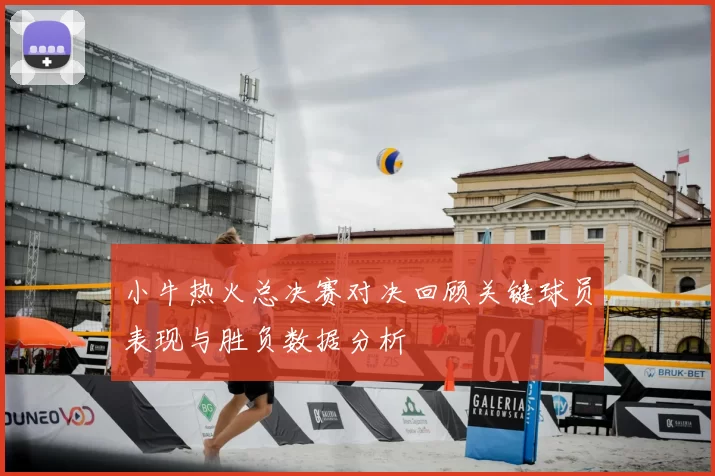 小牛热火总决赛对决回顾关键球员表现与胜负数据分析