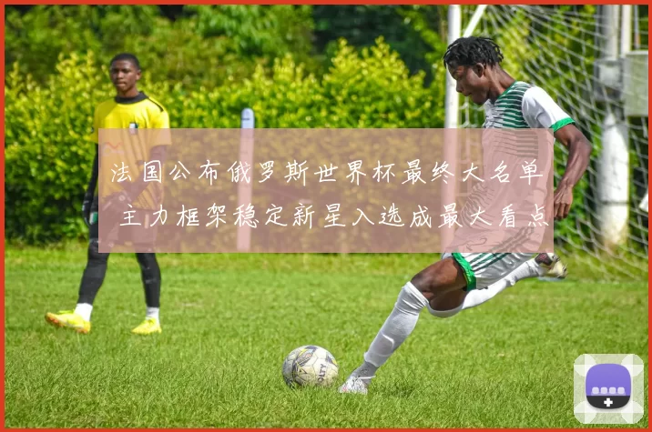 法国公布俄罗斯世界杯最终大名单 主力框架稳定新星入选成最大看点