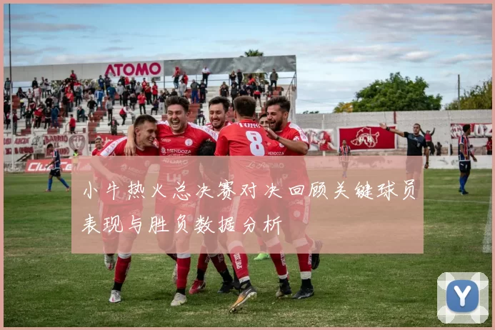 小牛热火总决赛对决回顾关键球员表现与胜负数据分析