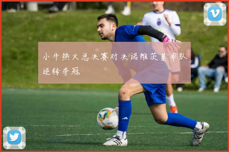 小牛热火总决赛对决诺维茨基率队逆转夺冠